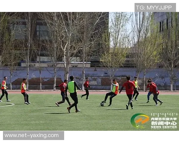 我与足球的青春岁月与激情碰撞的故事